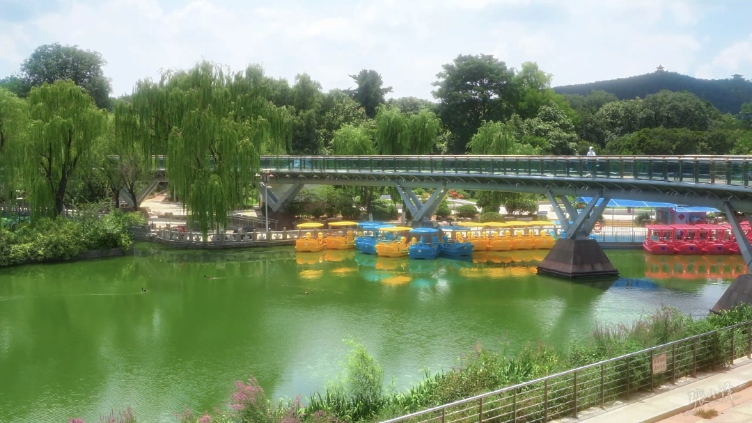 公园湖畔游船